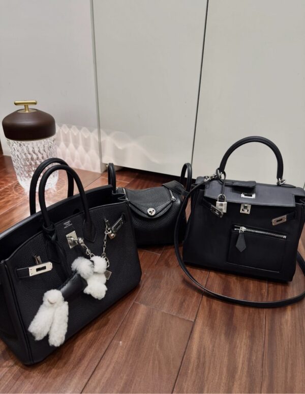 Hermès Kelly 25 Colormatic - Image 9