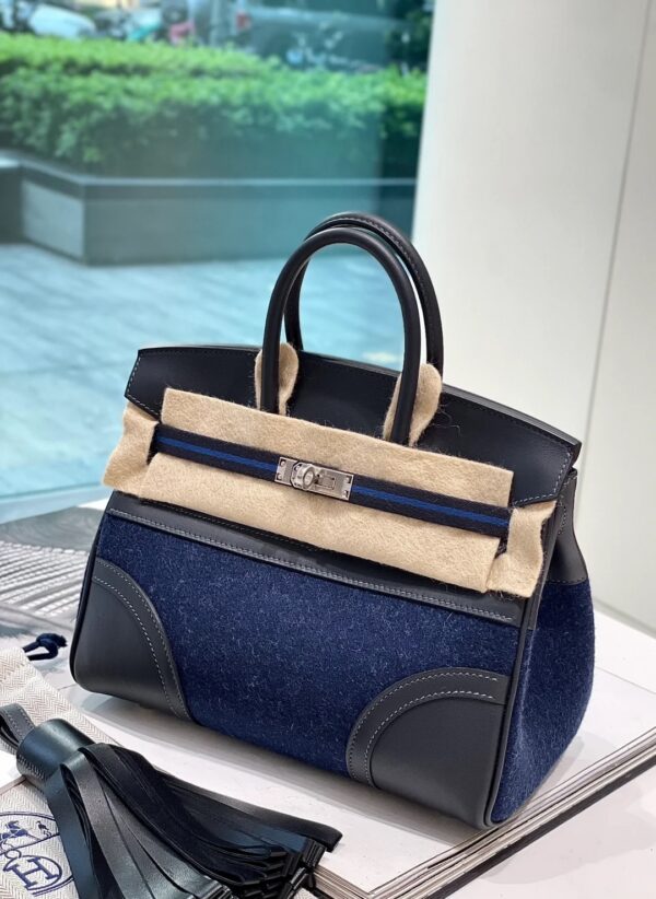 Hermès Birkin 25 Sellier Bi-Matière - Image 4