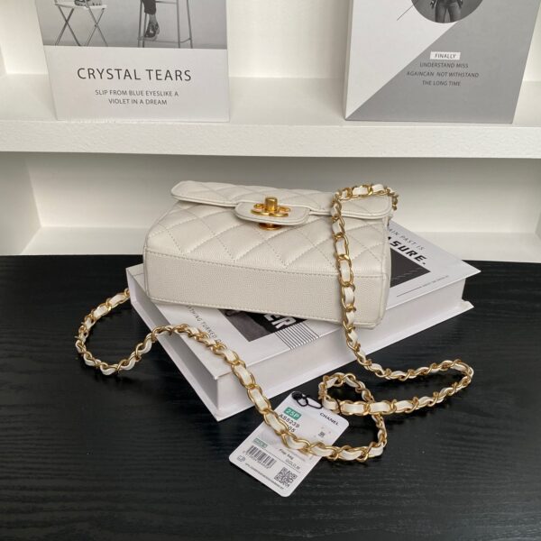 Chanel 19 Flap Bag - Image 5