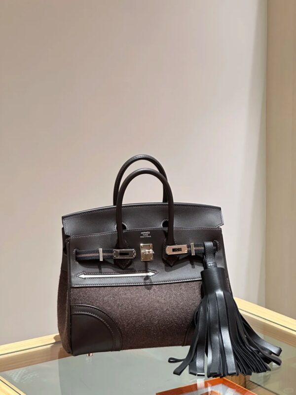Hermès Birkin 25 Sellier Bi-Matière - Image 11