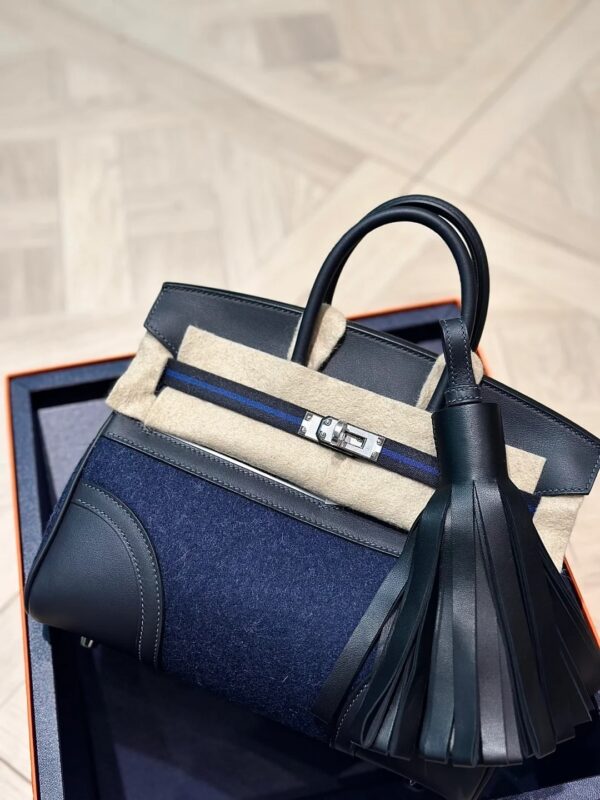 Hermès Birkin 25 Sellier Bi-Matière - Image 3