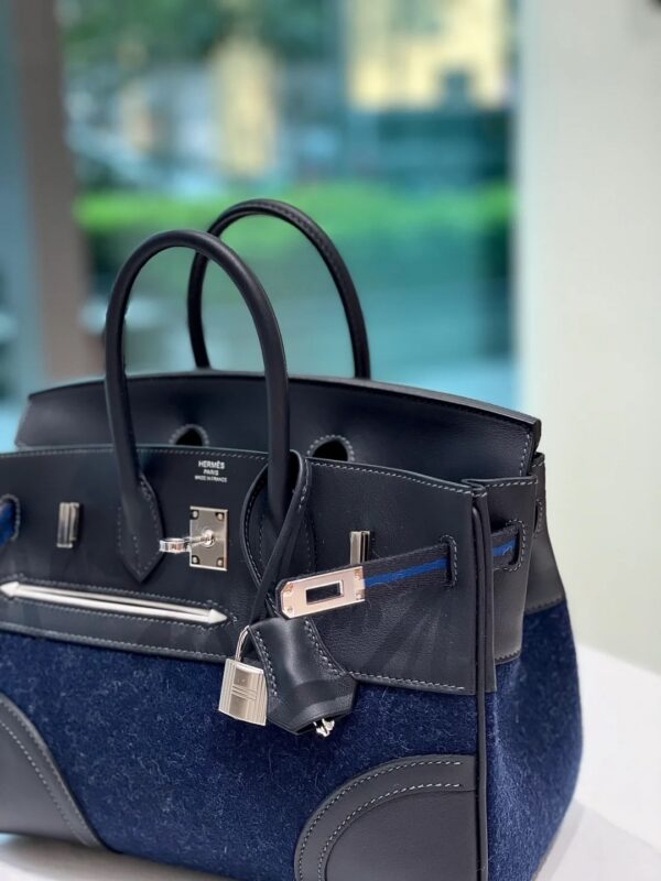 Hermès Birkin 25 Sellier Bi-Matière - Image 2