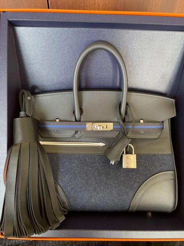 Hermès Birkin 25 Sellier Bi-Matière - Image 7