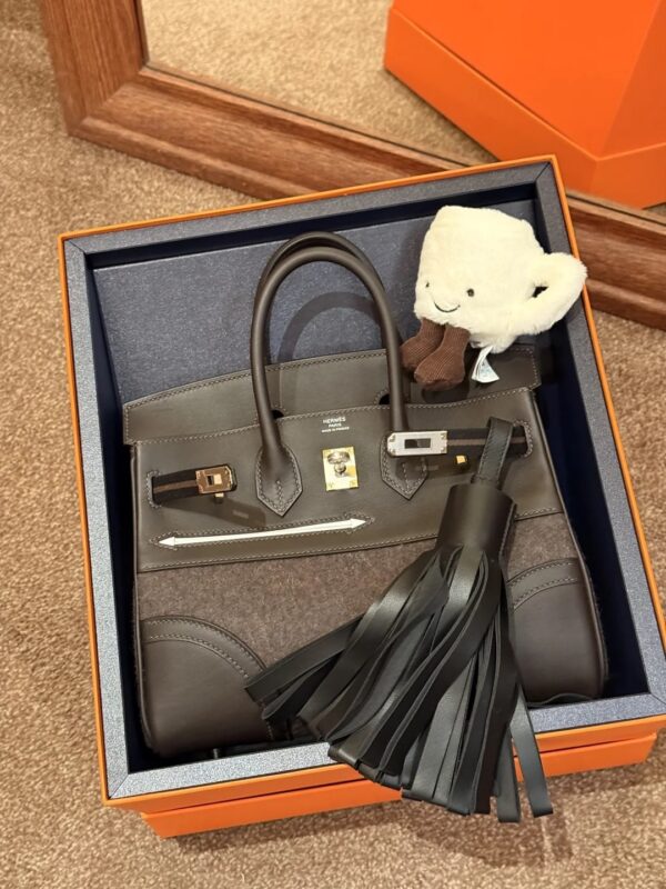 Hermès Birkin 25 Sellier Bi-Matière - Image 13