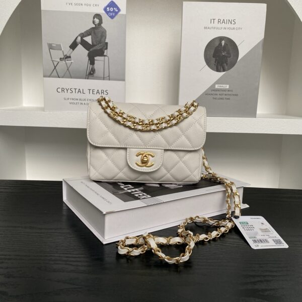 Chanel 19 Flap Bag