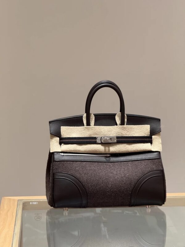Hermès Birkin 25 Sellier Bi-Matière - Image 12